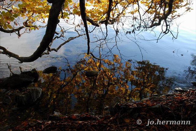 Herbst am See-012.jpg